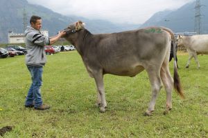 160409Attinghausen 032